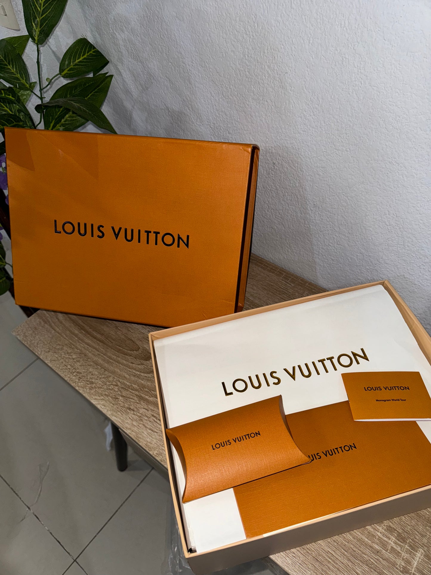 Louis Vuitton Trainer Blue