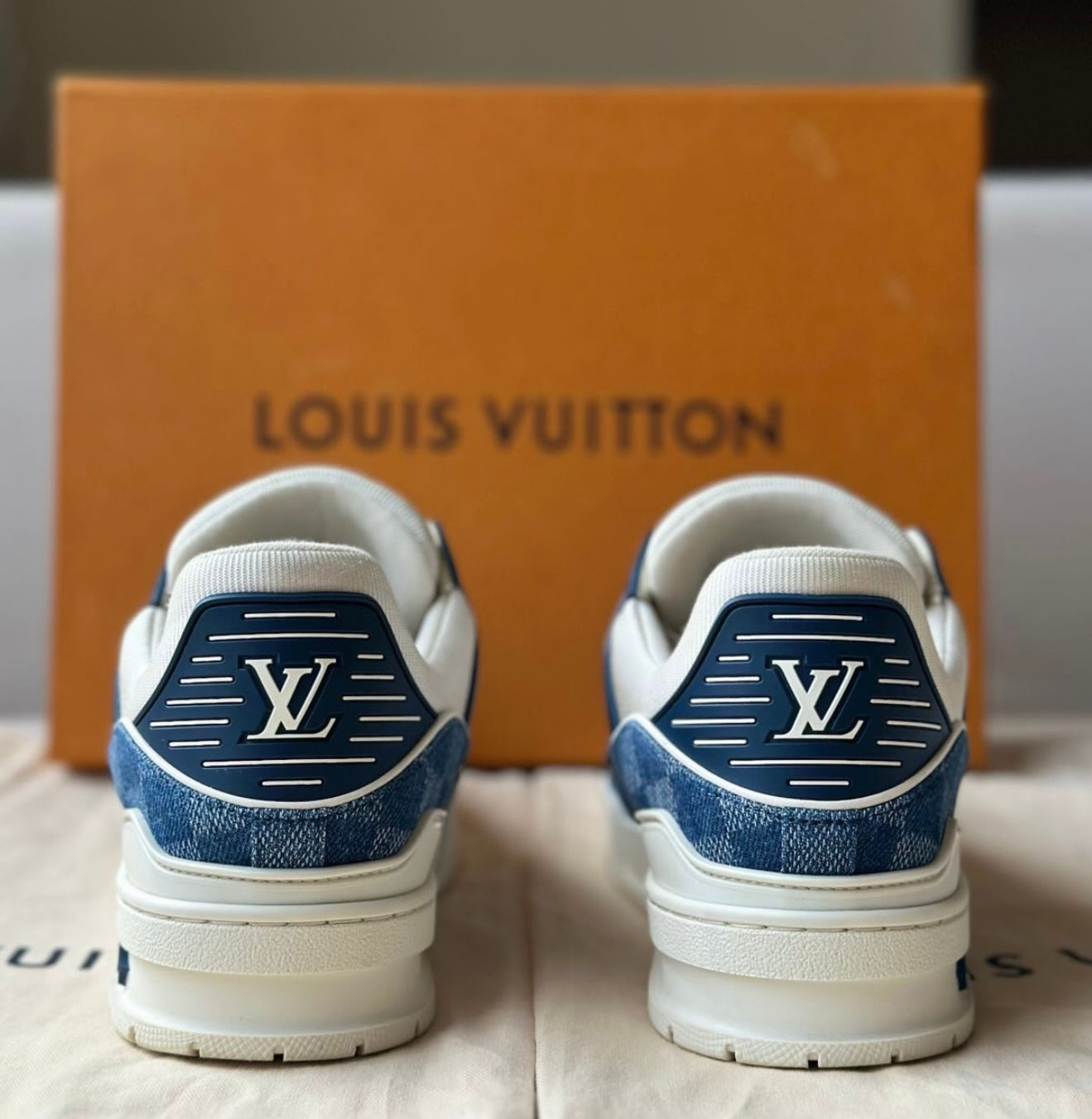 Louis Vuitton Trainer Blue blocks