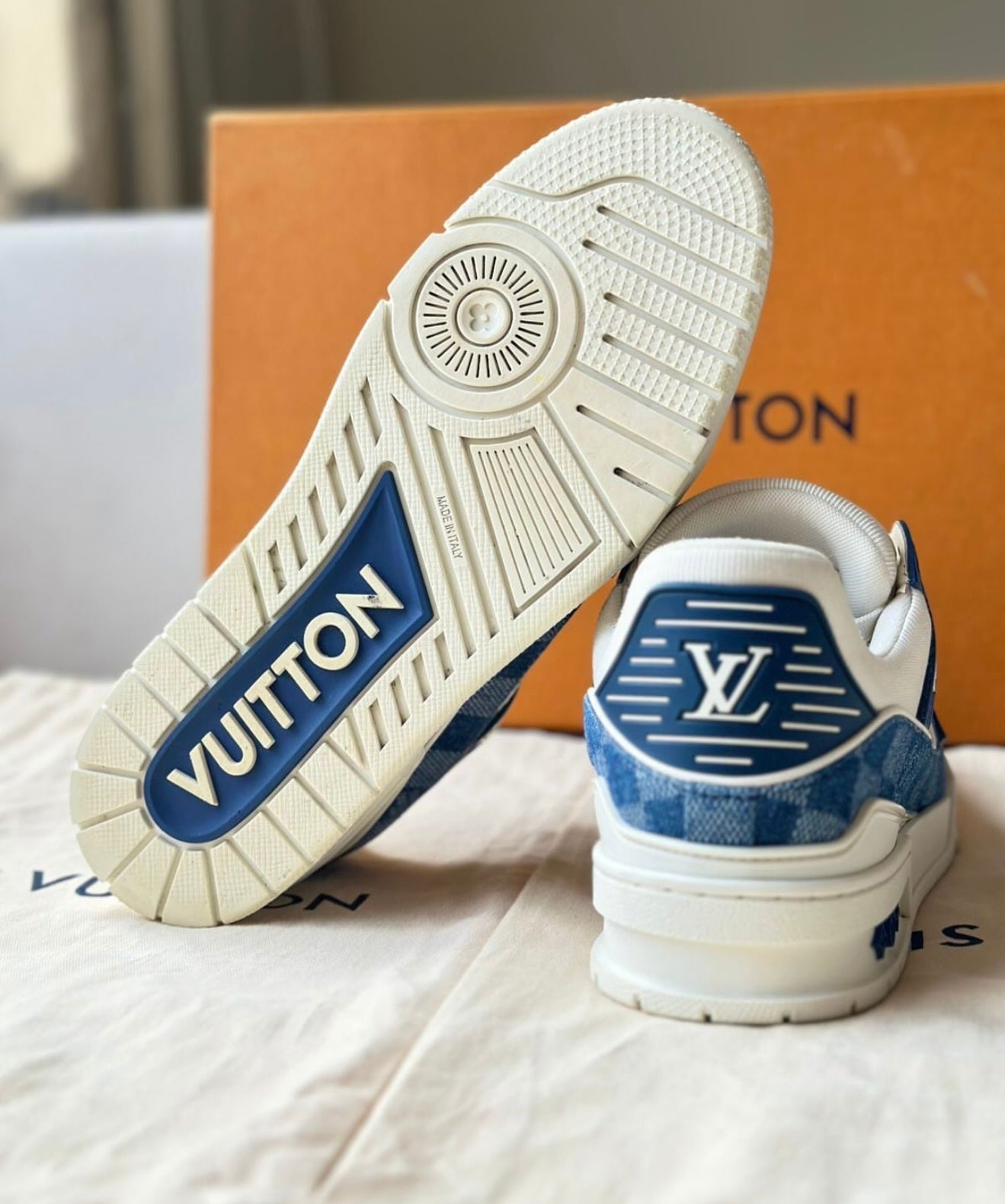 Louis Vuitton Trainer Blue blocks